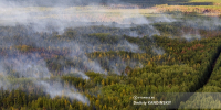 Еще 13 лесных пожаров действуют в Томской области - News.VTomske.Ru