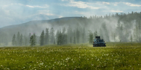 Фото: Юлия Чудинова/Shutterstock/Fotodom - Ямал-Медиа