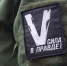 Службы занятости выполняют задачу по приоритетному трудоустройству участников СВО - Приволжская газета