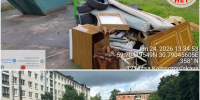 В Тосно ликвидированы захламления у контейнерных площадок - Комитет экологического надзора