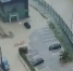 Мощный ливень затопил дороги и повалил деревья в Сочи - Газета Краснодарские известия