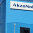 Путин передал липецкий актив Akzo Nobel во временное управление российской компании - Abireg.Ru
