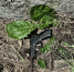 a25374ce-5db3-488c-a5a9-65af7c8a38ae - МВД по Республике Северная Осетия-Алания