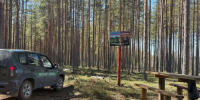 Более 7,5 тысячи патрулирований лесов провели в Вологодской области за полгода - OnlineVologda.Ru