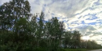 Скверы города - ЦБС г. Воркуты
