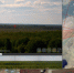лесохранитель - ParmaNews.Ru