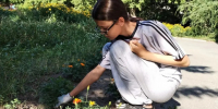 Школьники Барнаула проходят летнюю практику - Администрация г. Барнаул