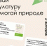 В Кинешме молодежь будет соревноваться в сборе макулатуры - Kineshemec.Ru