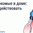Госжилинспекция Ставрополья: Что делать, если в доме завелись насекомые. - Александровский муниципальный округ