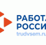 Единая цифровая платформа в сфере занятости «Работа в России» - Министерство финансов