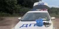 В Тольятти задержали подозреваемого в незаконном приобретении и хранении наркотических средств - НИА Самара