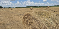 Фото: телеканал «Краснодар» - ТК Краснодар