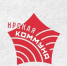 В Кирсановском округе пройдёт исторический фестиваль «Ирская коммуна» - Тамбовская жизнь