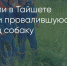 Поделитья во ВКонтакте - Братская Студия Телевидения