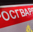 Фото: https://58.rosguard.gov.ru/ - Penza-Post.Ru
