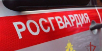 Фото: https://58.rosguard.gov.ru/ - Penza-Post.Ru