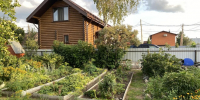 Фото Екатерины Христозовой - Tumentoday.Ru