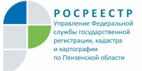Оформление общего имущества в СНТ: вопрос ответ - Пензенский район
