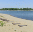 Пляж / Фото: amic.ru - ИА Амител