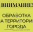Внимание! В Новороссийске будут проводиться работы по уничтожению американской белой бабочки, тли, ясеневого пилильщика - Город-герой Новороcсийск