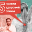 Слабые мышцы спины — частая причина болей в шее и пояснице - Администрация Ейского района