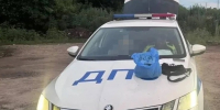 В Тольятти полицейские задержали подозреваемого в незаконном хранении наркотиков - ProGorodSamara.Ru