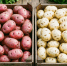 Фиолетовая, белая или жёлтая: какая картошка полезнее и вкуснее - биолог расставил точки над "i" - PRO Город Владимир