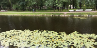 Более 100 тысяч исследований доказали качество петербургской воды - Neva.Today