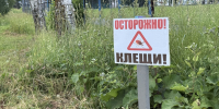 Почти 5 тысяч югорчан пострадали от укусов клещей с начала сезона - РИЦ Югра