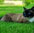 H_afajijwhOIUnIA1JLNw8Em01xuOjMXlv8xeLxvf_JMbJ7FJPdtqs2LJS3wi8ikqHGb88XmkmER_C32u81VvYT9.jpg - Ozersk74.Ru