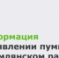 Специалисты минприроды рассмотрели информацию о появлении пумы на территории ст. Красноярской Цимлянского района - Минприроды Ростовской области