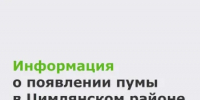 Специалисты минприроды рассмотрели информацию о появлении пумы на территории ст. Красноярской Цимлянского района - Минприроды Ростовской области