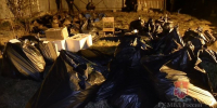 149 кустов конопли изъяли полицейские в Краснокамском округе - Ветта