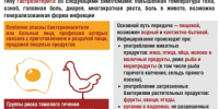Информация Роспотребнадзора о необходимости профилактики заболеваний, передающихся от животных человеку (зоонозов) - ЛГУ им. А. С. Пушкина