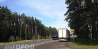 Названы самые опасные трассы и участки в Нижегородской области, где чаще всего животные выбегают на дорогу - ProGorodNN.Ru