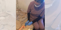 Рядом в трудный момент: больше тысячи амурчан получают паллиативную помощь на дому - gtrkamur.ru - ГТРК Амур