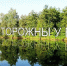 Фото: ГУ МЧС по АК - Алтайская правда