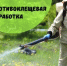 В пятницу, 17 июля, в Межгорье будет проведена акарицидная обработка - Город Межгорье
