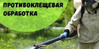 В пятницу, 17 июля, в Межгорье будет проведена акарицидная обработка - Город Межгорье