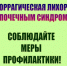 Осложнение эпидемиологической ситуации по геморрагической лихорадке с почечным синдромом - Камешкирский район