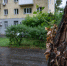 Временно ограничат движение на 2 перекрёстках в Абакане — коммунальщики будут удалять аварийные деревья - Абакан 24