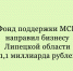 Бизнес Липецкой области получил от Фонда поддержки МСП финансовую помощь в размере 1,1 миллиарда рублей. - Народное слово