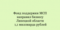 Бизнес Липецкой области получил от Фонда поддержки МСП финансовую помощь в размере 1,1 миллиарда рублей. - Народное слово