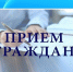 Личный прием граждан по вопросам нападения бродячих собак на жителей Новгородской области. - Демянский район