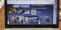 Анапчане могут воспользоваться мобильным приложением «Честный знак» - Газета Анапское Черноморье