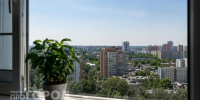 Концентрация токсичного газа превысила норму в двух районах Нижнего Новгорода - ProGorodNN.Ru