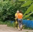 В Александрове у пенсионерки мошенники забрали 1,2 миллиона рублей - Progorod33.Ru
