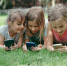 10_girls-lying-on-grass-using-mobile-phones-2026-01-08-22-25-28-utc - Сетевое издание Арбуз
