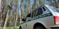 В 2026 году патрулирование лесного фонда в Самарской области организовано по 632 маршрутам общей протяжённостью более 60 тысяч километров. - НИА Самара