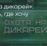 Поделитья во ВКонтакте - Братская Студия Телевидения